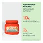 Garnier Fructis Goodbye Damage Mask 300ml
