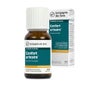 La Compagnie Des Sens Confort Urinaire Solution Buvable 15ml