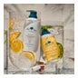 Shampooing dermo-protecteur pour cuir chevelu sensible Dr. Tree 400ml