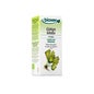 Biover Ginkgo Biloba Memoria Bio 50ml