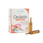 Sanon Circulación 10 Ampoulesx10ml
