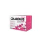 Theralab Colagenius Beauty 30 Saquetas