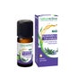 Naturactive Bio Huile Essentielle De gingembre Flacon 5 ml