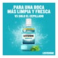 Listerine Menthol 1000ml