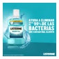Listerine Menthol 1000ml