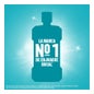 Listerine Menthol 1000ml