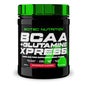 Scitec Nutrition BCAA + Glutamine Xpress Watermelon 300g