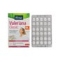 Kneipp Valeriana Classic 60 Aubergines