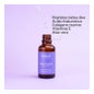 Segle Clinical Restore Facial Serum 30ml