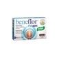 Santiveri Beneflor Capsules Pylopass