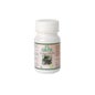 Ginko Biloba 700 Mg Sotya 100 Comprimidos *