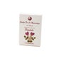 Encens parfumant à la violette africaine Auroshikha 15pcs