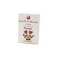 Encens parfumant à la violette africaine Auroshikha 15pcs