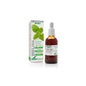 Extracto Melisa Xxl 50 Ml Soria Natural *
