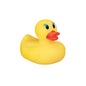 Munchkin Canard Jouet de Eau Thermosensible +0M 1 Unité