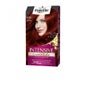 Schwarzkopf Palette Intensive Tint N6.88 Ruby Red 1pc