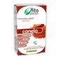 Fito Premium - Cannelle - Pinisan - 30 Capsules