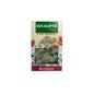 Eucalyptus pyrénéen Feuilles d'Eucalyptus 80g