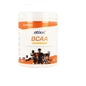 Etixx Bcaa Poudre Orange Mangue Saveur Mangue 300 Gr