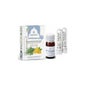 Phyto Inhalateur d'arômes Esential Memory 5ml