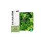 Menthe Poivrée Bio Champ 10ml Huile Essentielle