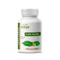 Sotya Café Verde 600mg 90cáps 600mg 90cáps