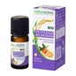 Naturactive He Petit Grain Big10ml