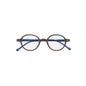 Lunettes Silac Marron & Bleu 2.50 1pièce