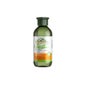 Corpore Sano Champu Aloe Goji 300 M Hidratante *