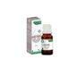 Phytosun Aroms Complexe Diffuseur Spa 30ml
