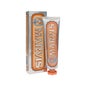 Marvis Dentifrice Menthe Gingembre 25ml