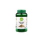 Pharmascience Maté Vert 200 Gélules