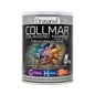 Drasanvi Collmar Collagène Marin 300g