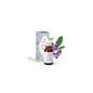 Esential Mist Aromatica Sleep 15ml