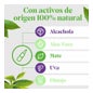 Arkopharma Arkofluido Forte Artichaut 20 Ampoules