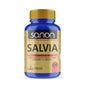 Sanon Salvia 100 Comprimés
