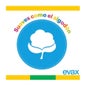 Evax Salvaslip Flexi&Fresh Normal 44 u.