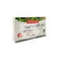 Superdiet harpagofit bio 20 ampoules