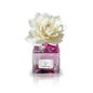Netzaj Rafraîchisseur d'air Fleurs Citronnelle 100ml