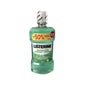 Listerine Protection des Dents et Gencives Bain Bouche 750 ml