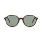Ray-Ban Thalia Rb2195 902 31 Havana Green 1ut