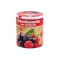 Amahogar Désodorisant Gel Canette Fruits Bois 95g