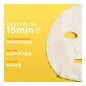 Garnier Skinactive Vitamine C Tissue Mask 1 Unité