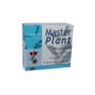 Master Plant Harpagophytum 10 x 10 ml