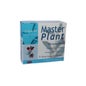Master Plant Harpagophytum 10 x 10 ml