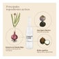 Ampoules de traitement anti-âge Nuggela & Sulé Premium 4 U X 10 Ml