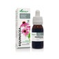 Extracto Equinacea Xxi 50 Ml Soria Natur *