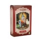 Radhe Shyam Henné Châtaigne Acajou Poudre d'acajou