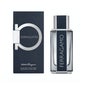 Ferragamo Ferragamo Eau de Toilette 100ml