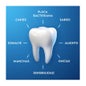 Oral-B® Pro-Expert Protection Professionnelle 75ml + 25ml